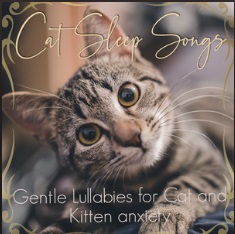 Cat Songs